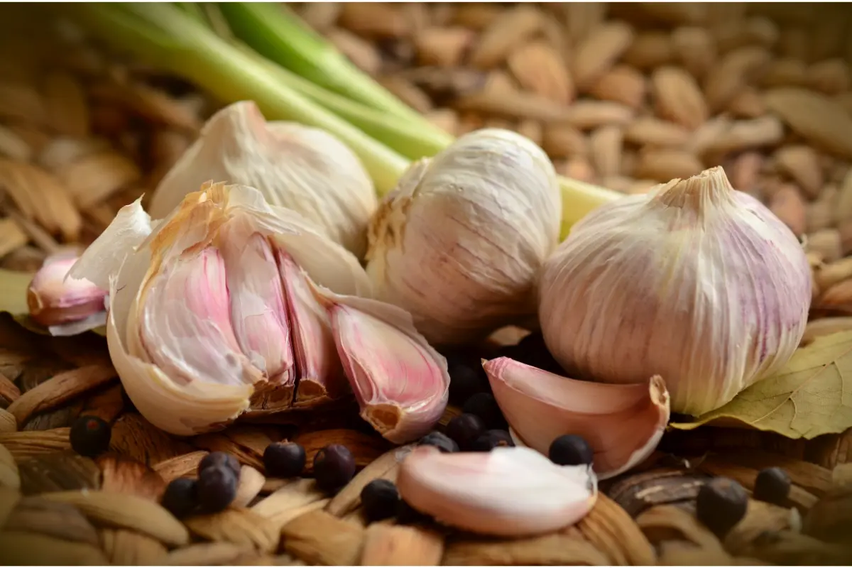 marinated garlic benefits 