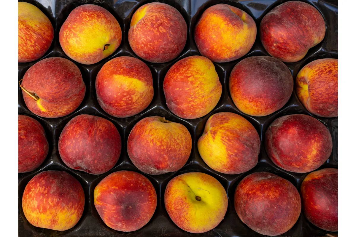 guide-to-frozen-peaches-uses